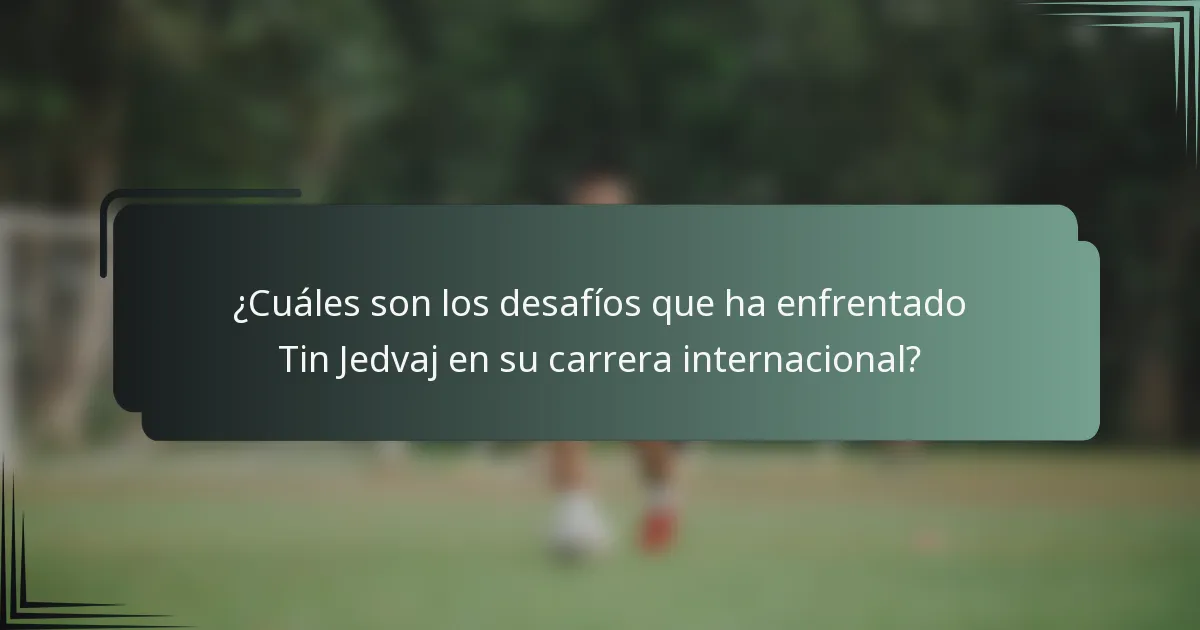 ¿Cuáles son los desafíos que ha enfrentado Tin Jedvaj en su carrera internacional?