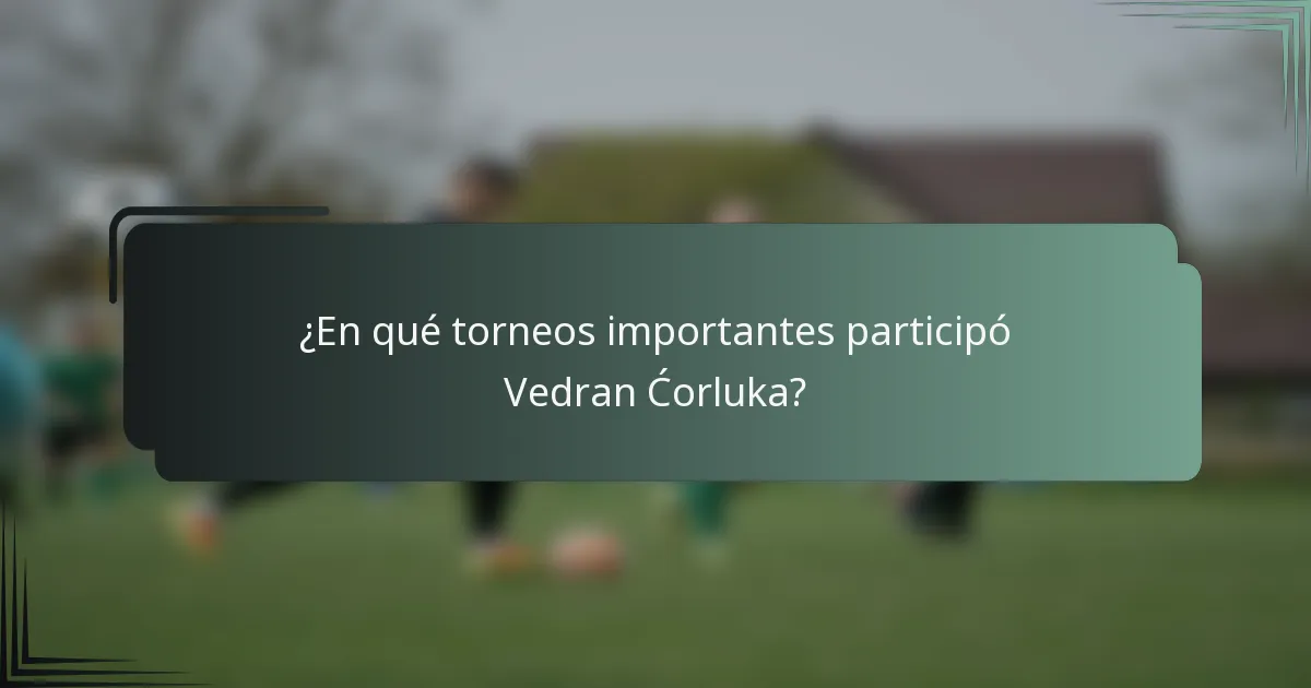 ¿En qué torneos importantes participó Vedran Ćorluka?
