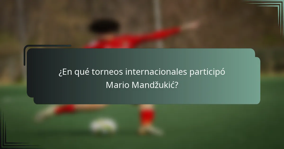 ¿En qué torneos internacionales participó Mario Mandžukić?